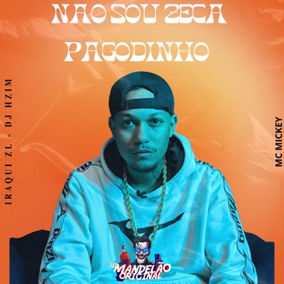 Não Sou Zeca Pagodinho - Single