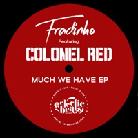 Much We Have (feat. Colonel Red) - Fradinho