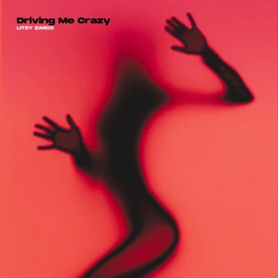 DRIVING ME CRAZY - Single