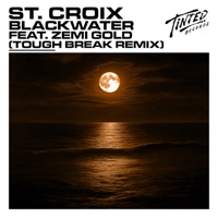 Blackwater (feat. Zemi Gold) [Tough Break Remix] - Single - St. Croix