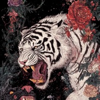 Not A Fan - Single - Phil Beats