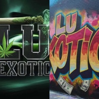 New Levels (Freestyle) - EP - Lu Exotic