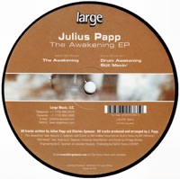 The Awakening - Single - Julius Papp