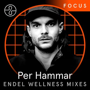 Focus: Per Hammar x Endel (DJ Mix)