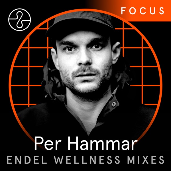 Focus: Per Hammar x Endel (DJ Mix)