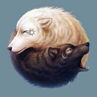 matter - Single - crüx