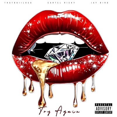 Try Again (feat. Cartel Ricky & Biigg Zayy) - Single