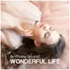 Wonderful Life