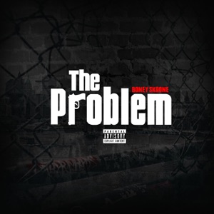 The Problem