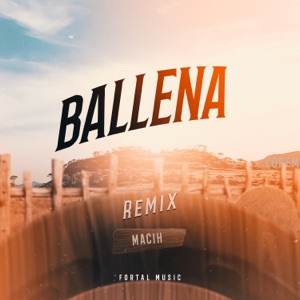 Ballena (feat. Vulgo FK) [Remix]