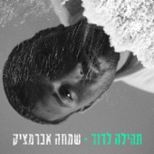 תהילה לדוד artwork