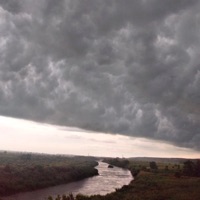 Без названия - Single - _FOX_