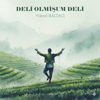 Y&uuml;ksel Baltacı - DELİ OLMİŞUM DELİ artwork