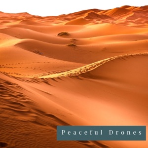 Peaceful Drones - EP