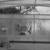 NEM - Single - Xiaoling