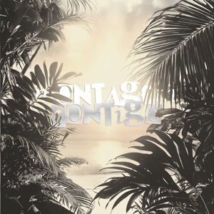 Montagem Contigo (Slowed)