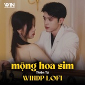 Mộng Hoa Sim (Lofi Version) artwork