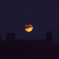 icu - Single - ilygalaxi