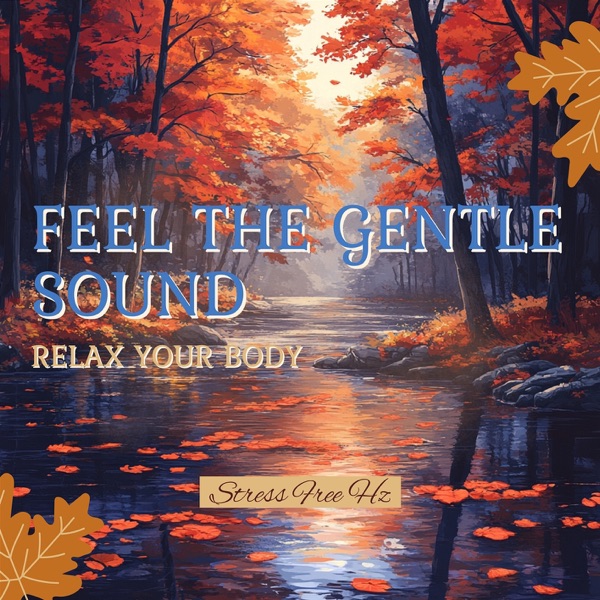 Feel the Gentle Sound Relax Your Body