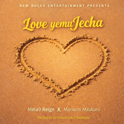 Love yemuJecha (feat. Mariachi Mzukuru) - Single