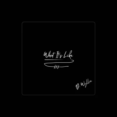Listen to D. Wyllie, watch music videos, read bio, see tour dates & more!
