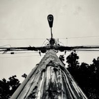 City of Darkness - Single - Rodry Yellowzs