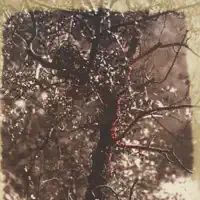 Sacred Cross — Ben Laine & Eric Lee Brumley