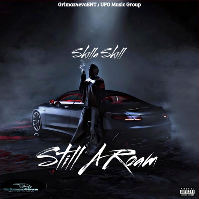 Still A Roam (feat. UFO Musiq GRoup) - Single