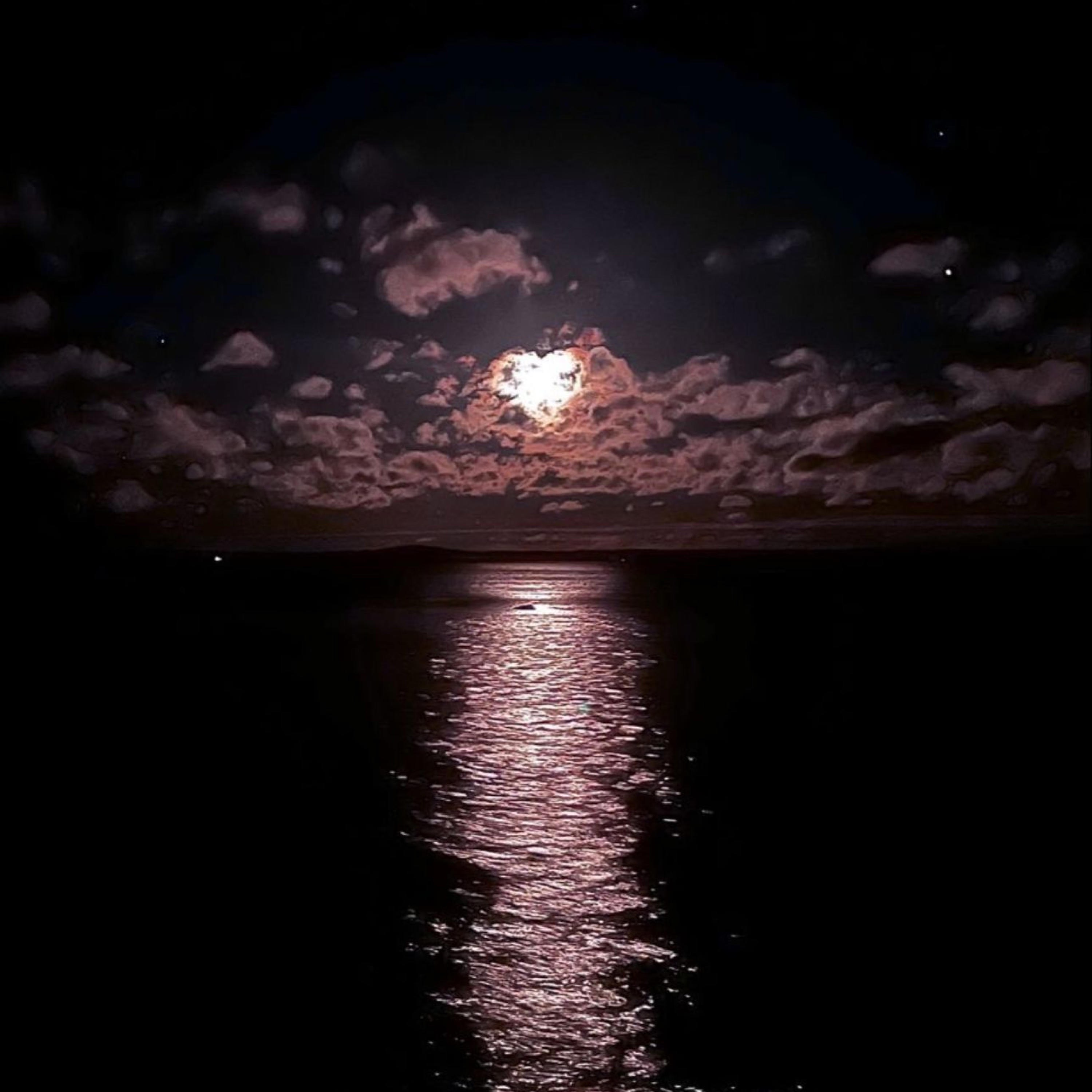 Lunar Bloomx - Starlight Drifts Gently