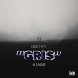 Gris Ronto beats, 4X & 44Raid