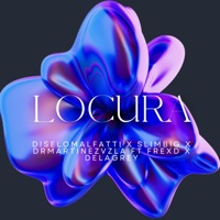 Locura (feat. Frexd & DelaGrey) - Single - DiseloMalfatti, Drmartinezvzla & Slim Big