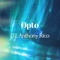 Opto - D.J. Anthony Rico lyrics