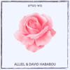 בואי בשלום - Alliel & David Hababou