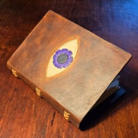 Observer Effect (feat. Paranoah & theworstperson) [Radio Edit] - Single - Yetiii!!