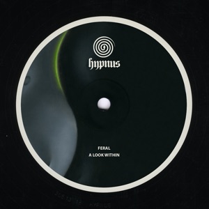A Look Within - EP