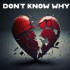 I don't know why (feat. Lily) - Single