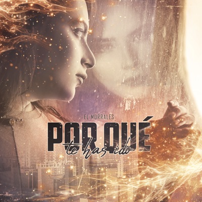 Por Qué Te Has Ido - Single