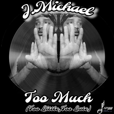 Too Much (Too Little Too Late) [Radio Edit] - Single