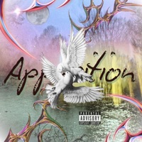 Apparition - Single - Stoaks