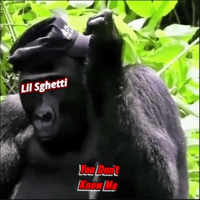 You Don't Know Me (feat. Lil Sghetti) - Single