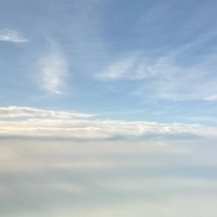 Cant switch (feat. Randeezy) - Single - w4vo