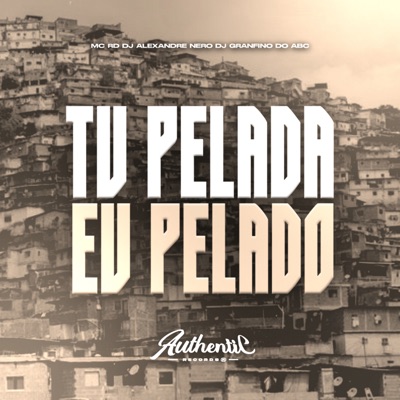 Tu Pelada Eu Pelado (feat. DJ Alexandre Nero & Mc Rd) - Single