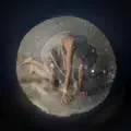 Sirens