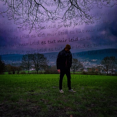 es tut mir leid - Single