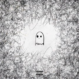 ghost in the flesh conscience