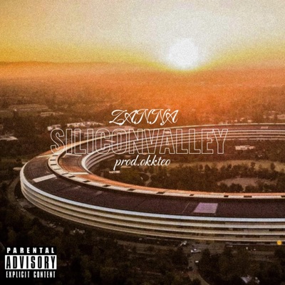 SILICON VALLEY - Single