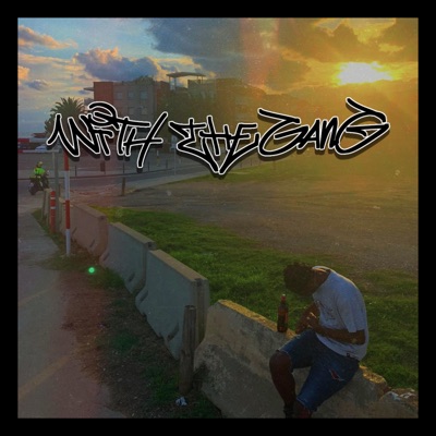 WITH THE GANG (prod. skyler) (feat. VKNG & Lazy Menez) - Single