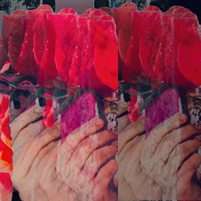 Holding Roses (feat. Uneak Music) - Single