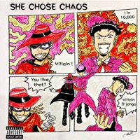SHE CHOSE CHAOS - Go Villain