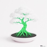 Learning To Live (Live) - Single - Dj Bladde